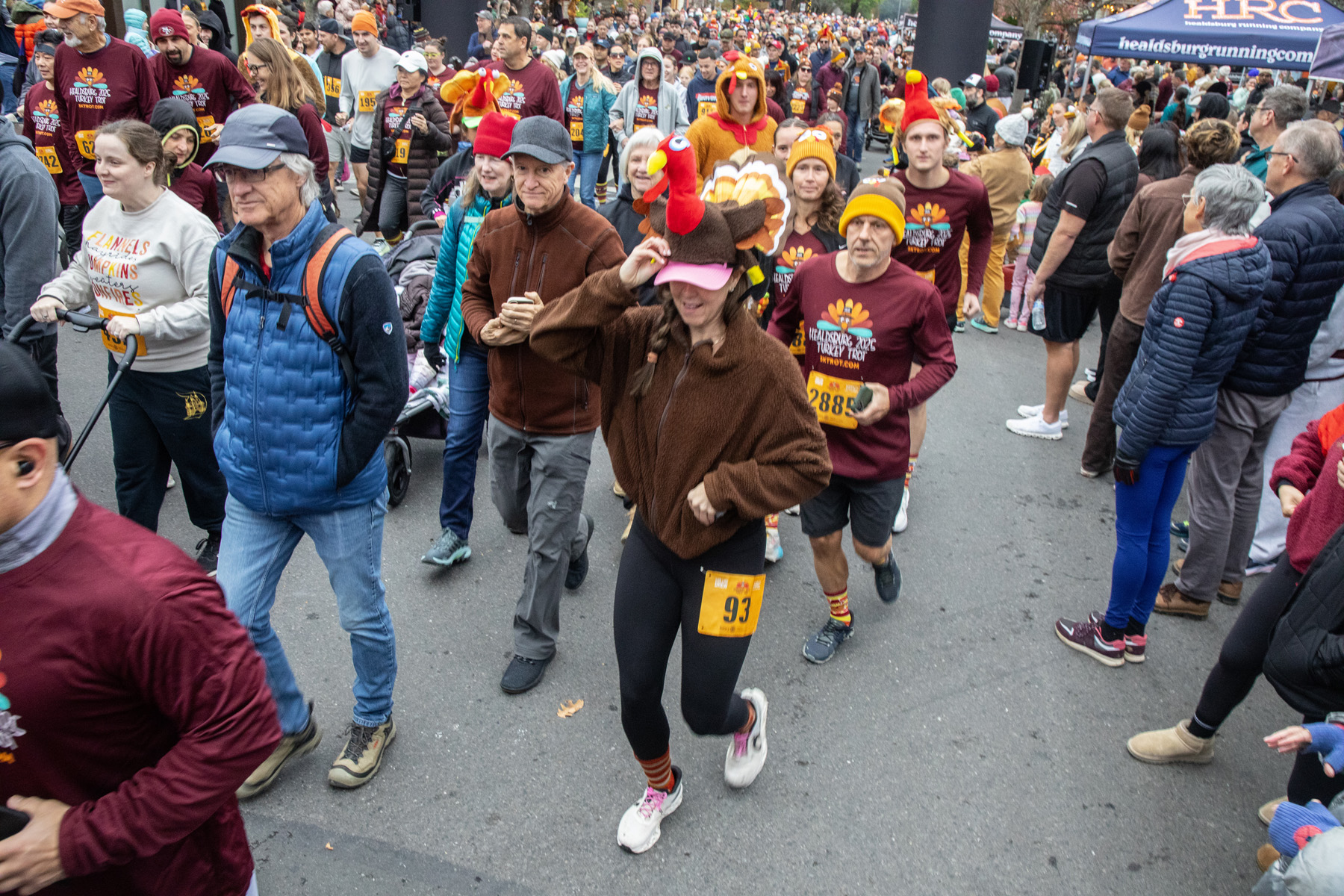 Healdsburg Fairy Doors