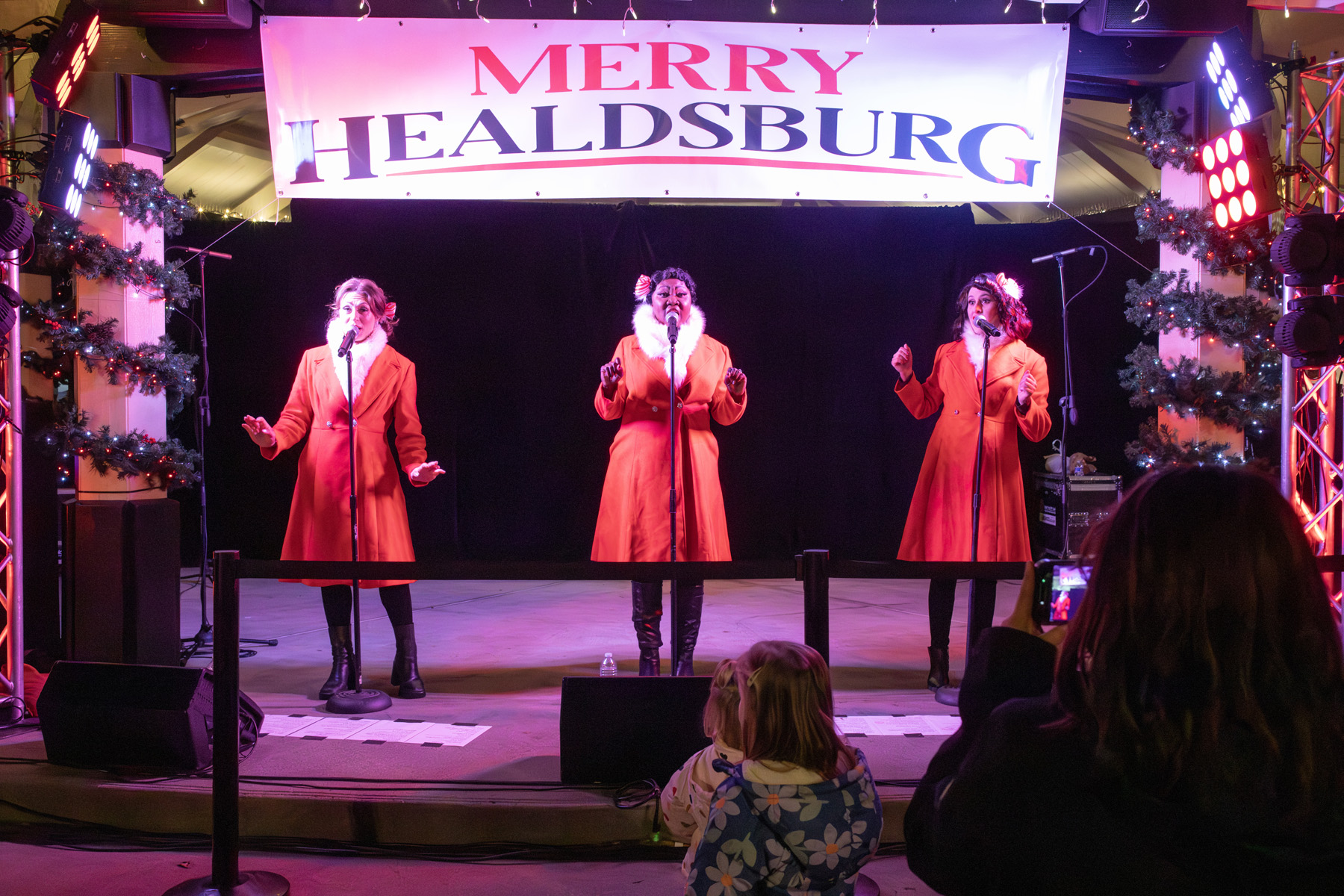 Healdsburg Fairy Doors